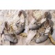 Iris Corolla Zhiyu Chinese Style Shoes(Reservation/6 Colours/Full Payment Without Shipping)